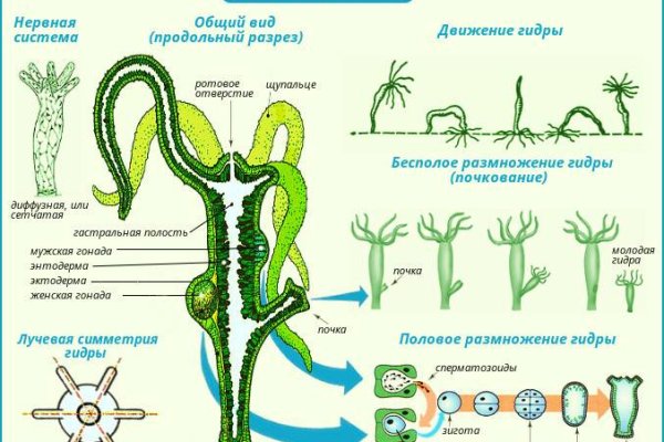 Кракен официальный сайт онион