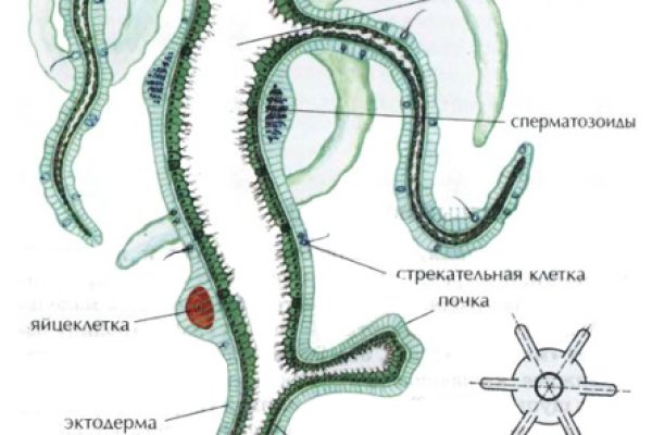 Кракен официальный