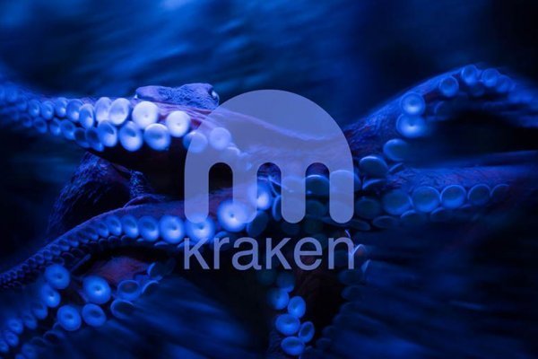 Kraken com login