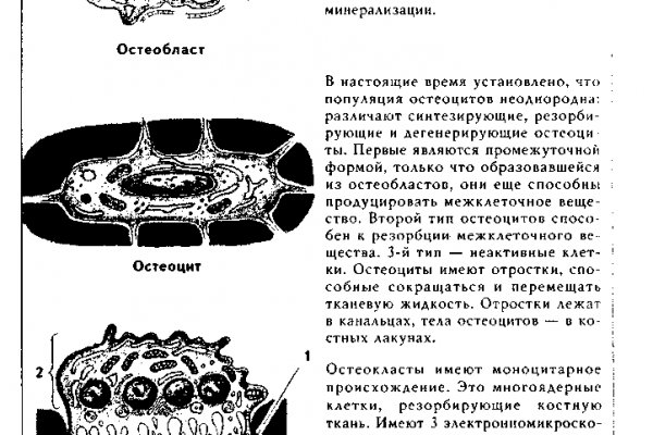 Кракен вывод средств