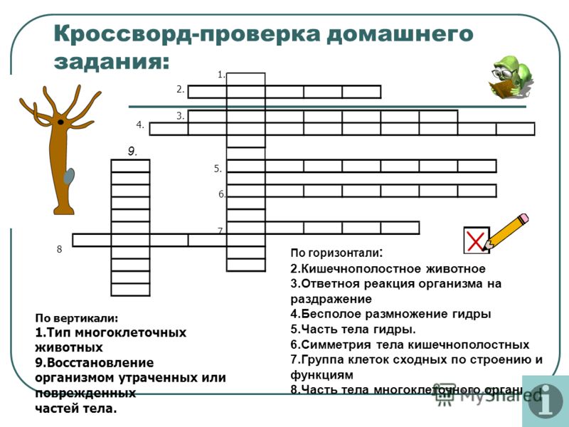 Kraken 8 at сайт